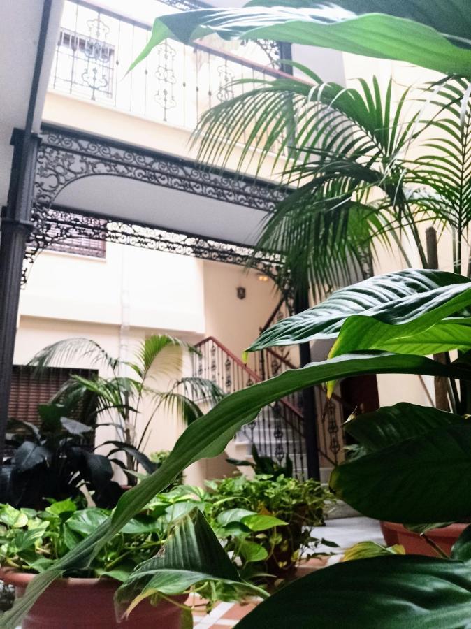 Botanic Suite Málaga Exteriör bild